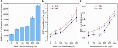 Comprehensive toxicological, metabolomic, and transcriptomic analysis of the biodegradation and adaptation mechanism by Achromobacter xylosoxidans SL-6 to diuron